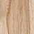 CEDAR